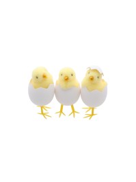 POUSSIN JAUNE DANS COQUILLE OEUF BLANC - 3 ASS DIA 5CM X 9CM