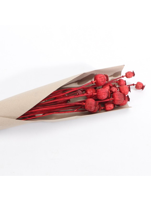 BUNCH OF RED PAPAVER 90 GR +/- 60CM