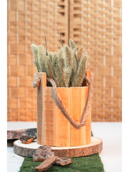 BUNCH OF NATURAL GREEN SETARIA 100GR +/- 74CM