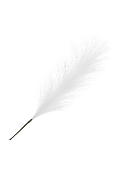 TIGE PLUMEAU PAMPA ARTIFICIELLE BLANC 56CM