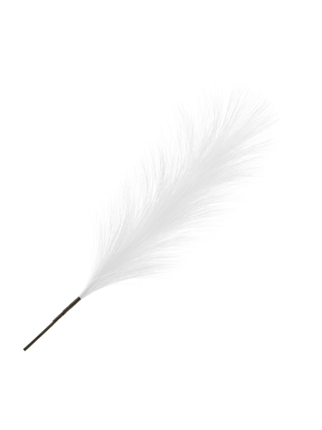 TIGE PLUMEAU PAMPA ARTIFICIELLE BLANC 56CM