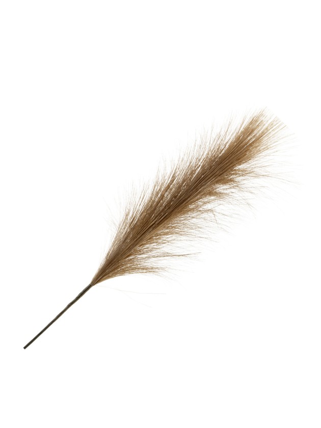 TIGE PLUMEAU PAMPA ARTIFICIELLE BRUN 56CM