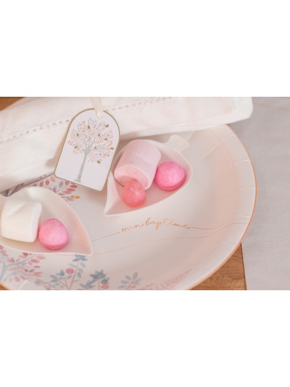 8 PLATES PLASTIC FREE MON BAPTEME 23CM