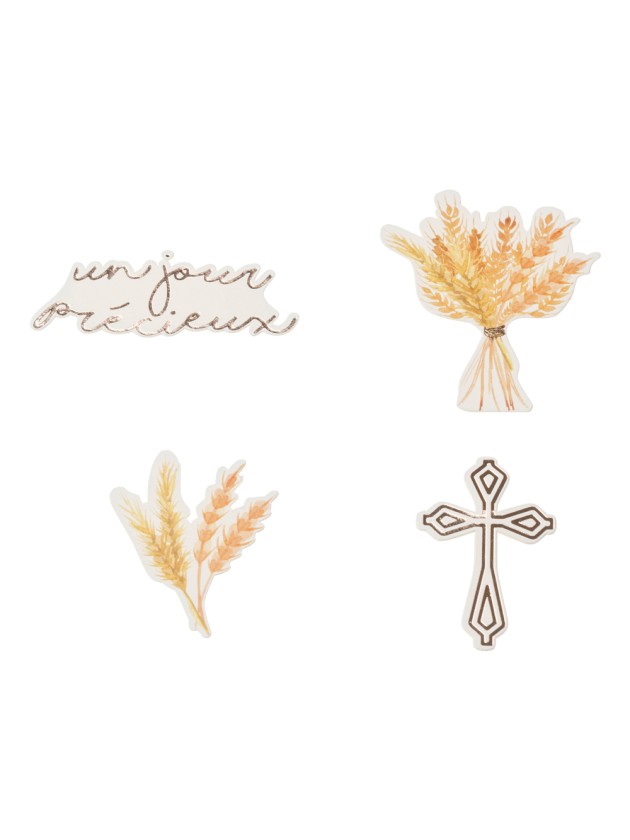 SET OF 24 CARTON CONFETTI UN JOUR PRECIEUX ASSORTED SIZES 