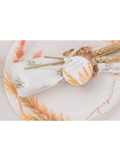 8 CARTON TAGS W/ RIBBON UN JOUR PRECIEUX DIA 5CM