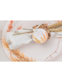 8 CARTON TAGS W/ RIBBON UN JOUR PRECIEUX DIA 5CM