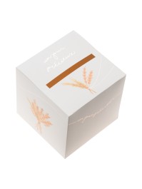 SQUARE CARTON URN UN JOUR PRECIEUX 20CM X 20CM X 20CM