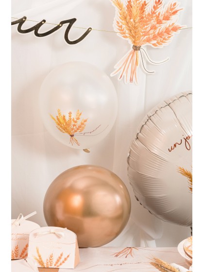 SET 6 LATEX BALLOONS UN JOUR PRECIEUX DIA 27CM