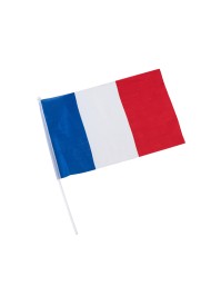 FRENCH FLAG ON STEM FLAG 20CM X 30CM - STEM 33CM