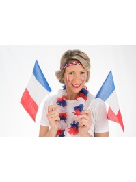 DRAPEAU SUR TIGE FRANCE DRAPEAU 20CM X 30CM - TIGE 33CM