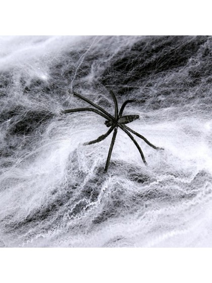 SPIDER WEB 40G + 3 BLACK SPIDERS 