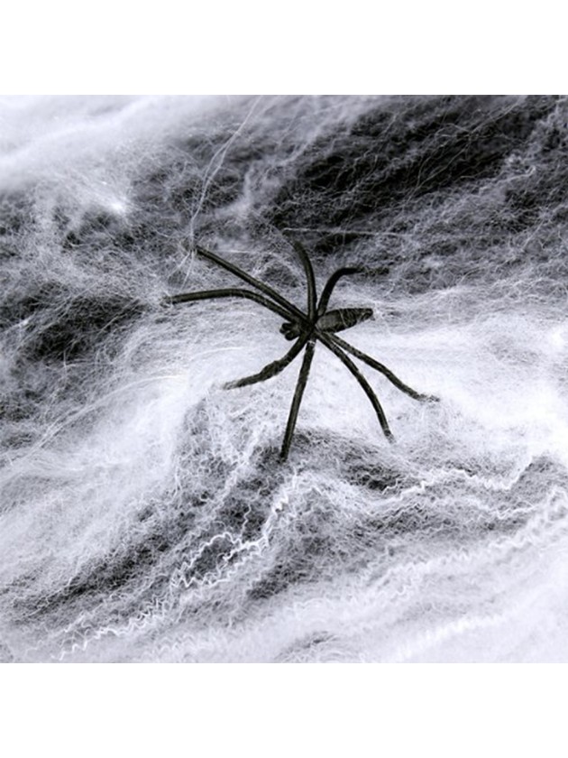 SPIDER WEB 40G + 3 BLACK SPIDERS 