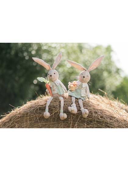 LAPIN ASSIS VERT SAUGE CHARLIE 2 ASS 19CM X 10CM X 68CM