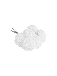 6 MINI HORTENSIAS BLANCS ENV 10CM X 4CM X 14CM