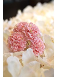 6 PINK MINI HYDRANGEA 10CM X 4CM X 14CM
