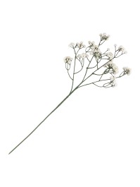 TIGE GYPSOPHILE CREME ENV 15CM X 10CM X 60CM