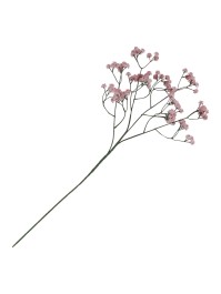 TIGE GYPSOPHILE ROSE ENV 15CM X 10CM X 60CM
