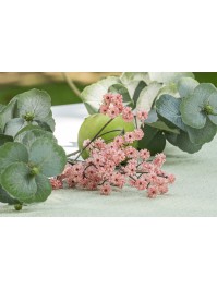 PINK GYPSOPHILE STEM ENV 15CM X 10CM X 60CM
