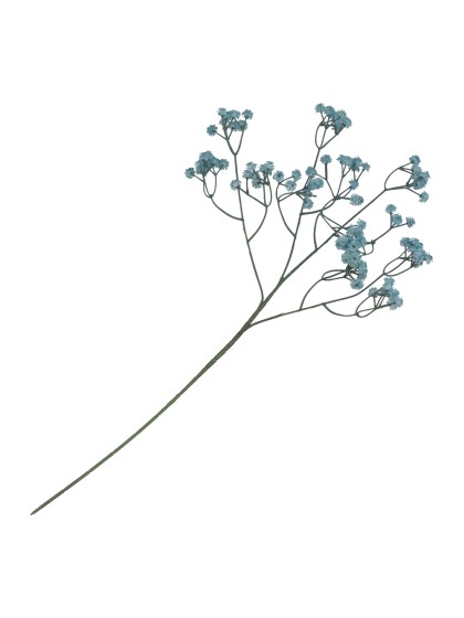 BLUE GYPSOPHILA STEM ENV 15CM X 10CM X 60CM