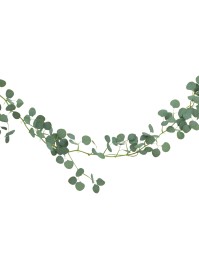 DESCENTE EUCALYPTUS 173CM