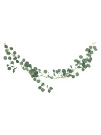 DESCENTE EUCALYPTUS 173CM