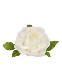 TETE DE ROSE IVOIRE DIA 28CM X 18CM