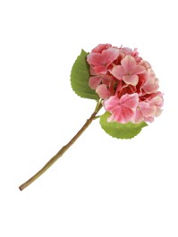 PINK HYDREANGEA STEM 35CM