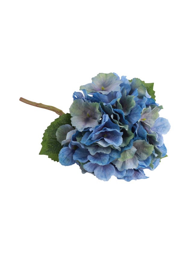 TIGE HORTENSIA BLEU CIEL 35CM
