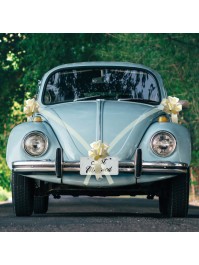 IVORY CAR KIT 5 PIECES 