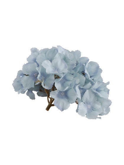 TETE HORTENSIA BLEU CIEL DIA 20CM X 11CM