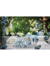 TETE HORTENSIA BLEU CIEL DIA 20CM X 11CM