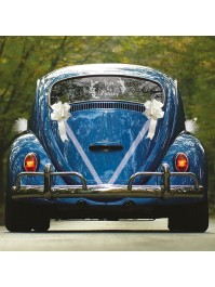 VIVE LES MARIES WHITE CAR KIT 6 PIECES 