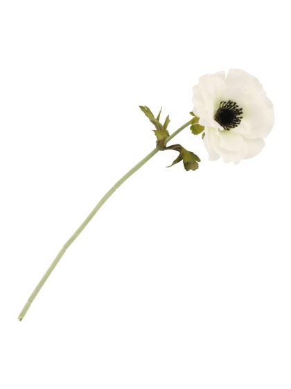 WHITE ANEMONE STEM DIA 10CM X 38CM