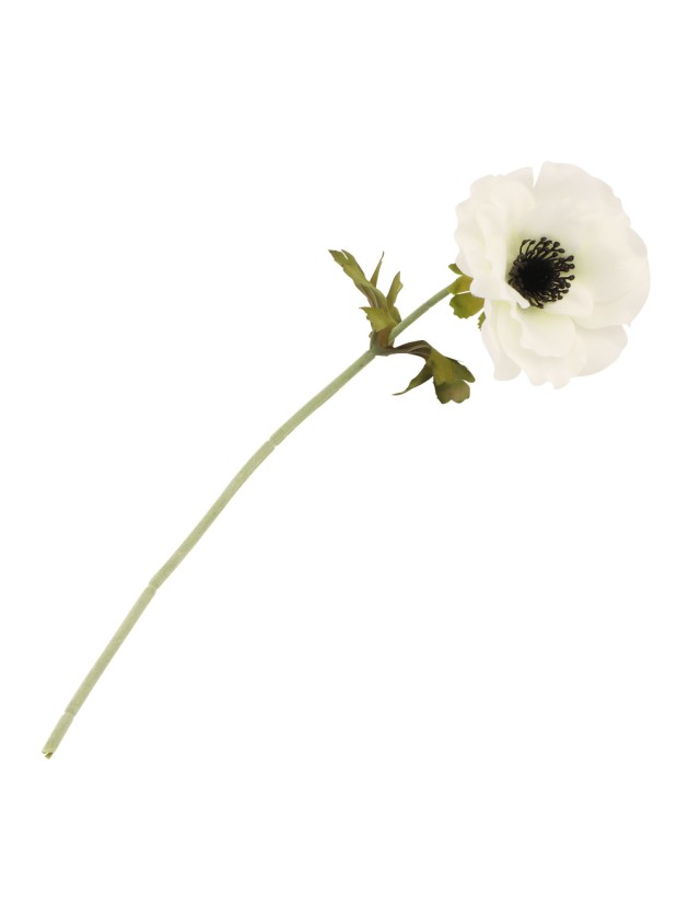 WHITE ANEMONE STEM DIA 10CM X 38CM