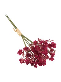 BUNCH 6 RASPBERRY GYPSOPHILIA DIA 12CM X 24CM