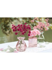 BUNCH 6 RASPBERRY GYPSOPHILIA DIA 12CM X 24CM