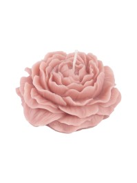 NYMPHEA PINK CAMELLIA CANDLE DIA 10.3CM X 4.2CM