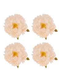 4 TETES PIVOINE AMANDE DIA 9CM X 4CM