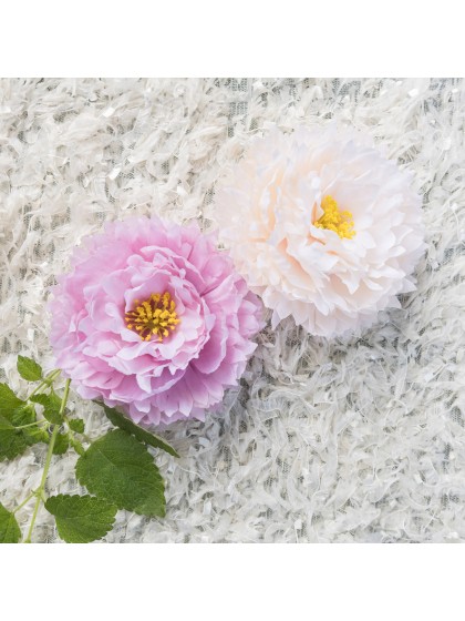 4 TETES PIVOINE AMANDE DIA 9CM X 4CM