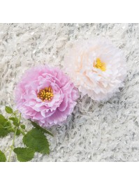 4 ALMOND PEONY HEADS DIA 9CM X 4CM