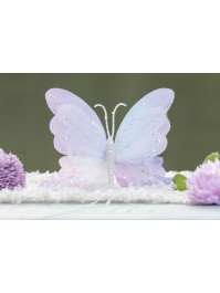 IRIDESCENT BUTTERFLY WITH CLIP BASE 19CM X 3CM X 23CM