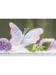 PAPILLON IRISE AVEC SUPPORT PINCE 16CM X 3CM X 19CM