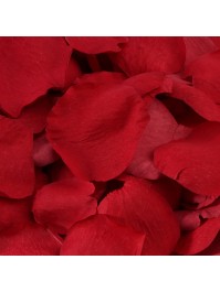 BAG OF 250 3D RED ROSE PETALS AROUND 4CM X 4CM