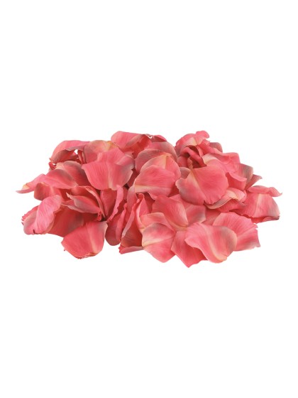 SACHET 250 PETALES DE ROSES 3D FRAMBOISE ENV 4CM X 4CM
