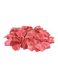 SACHET 250 PETALES DE ROSES 3D FRAMBOISE ENV 4CM X 4CM