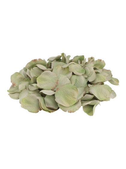 SACHET 250 PETALES DE ROSES 3D VERT NENUPHAR ENV 4CM X 4CM