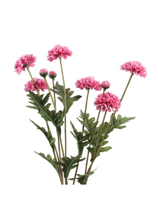 BOUQUET 3 TIGES TAGETES FRAMBOISE 12CM X 8CM X 59CM