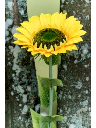 XL SUNFLOWER ON STEM 30CM X 25CM X 130CM