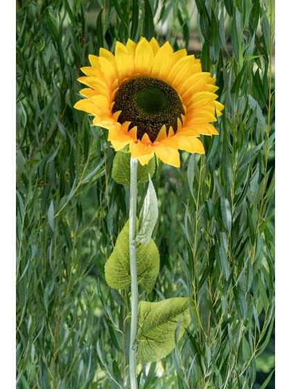 TOURNESOL XL SUR TIGE 30CM X 25CM X 130CM