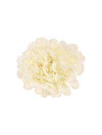 BUNCH OF 6 WHITE CAMELIA DIA 11CM X 23CM